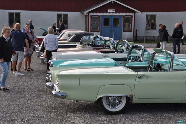 Willys Gotland CTCS Gotland 2016 Tbirds104